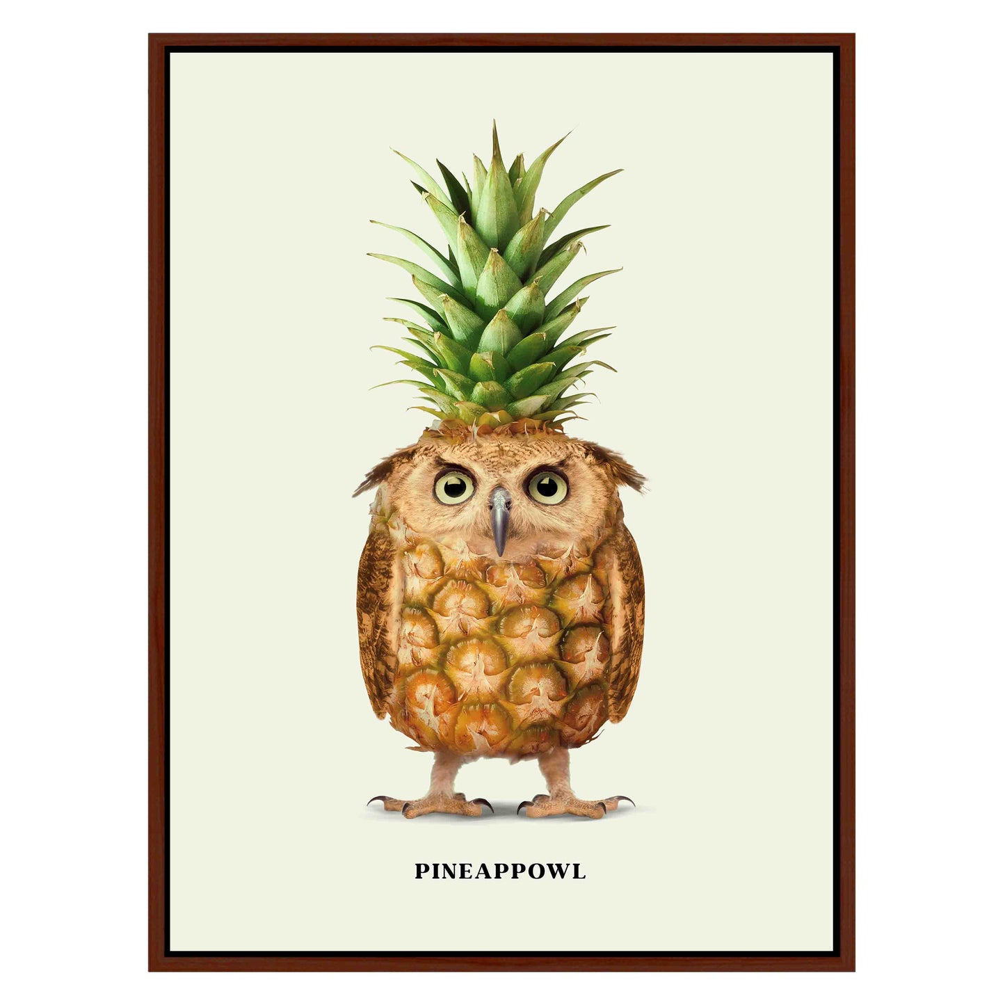 PINEAPPOWL | CANVAS