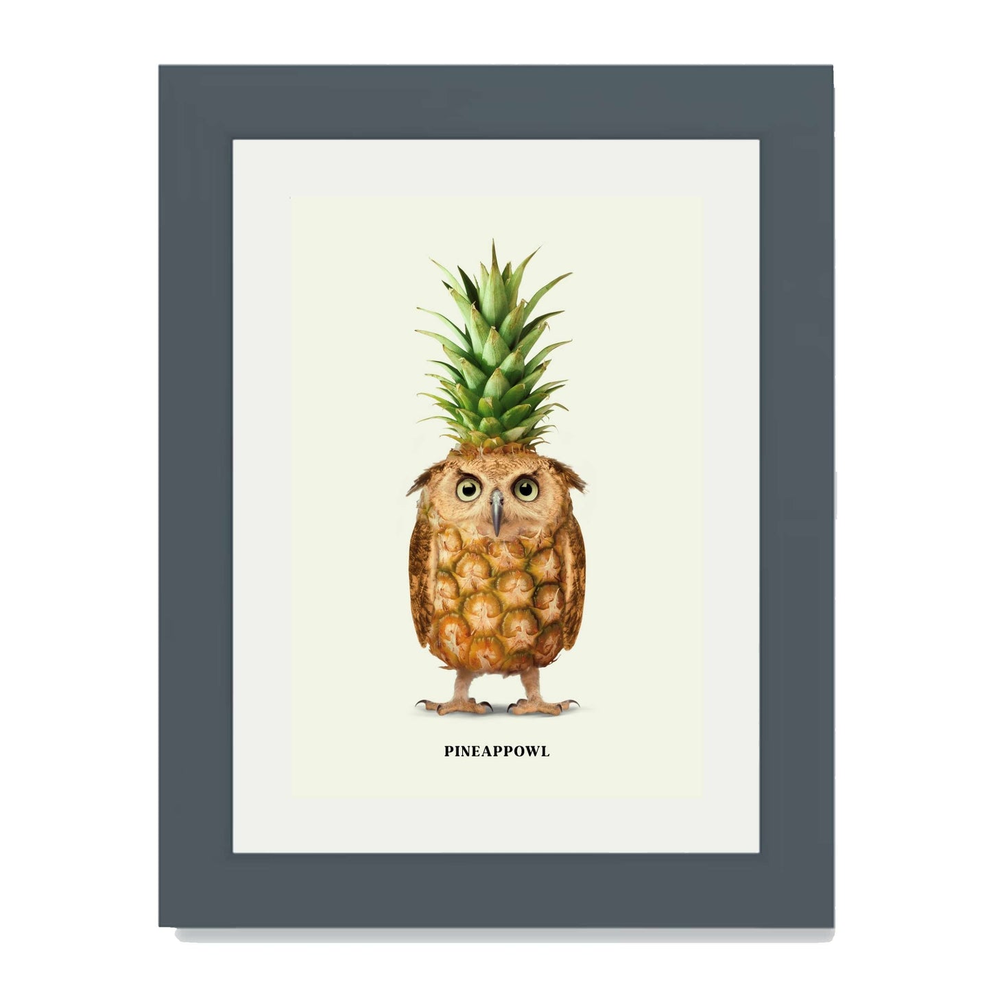 PINEAPPOWL | PRINT