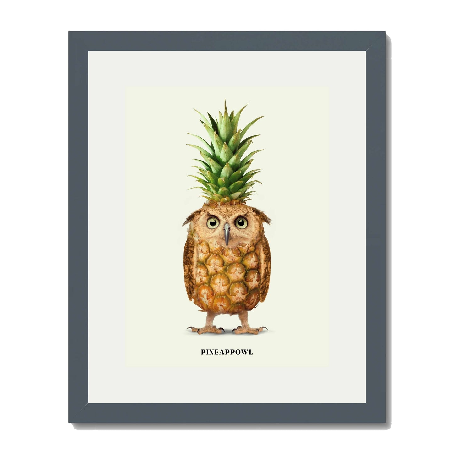 PINEAPPOWL | PRINT