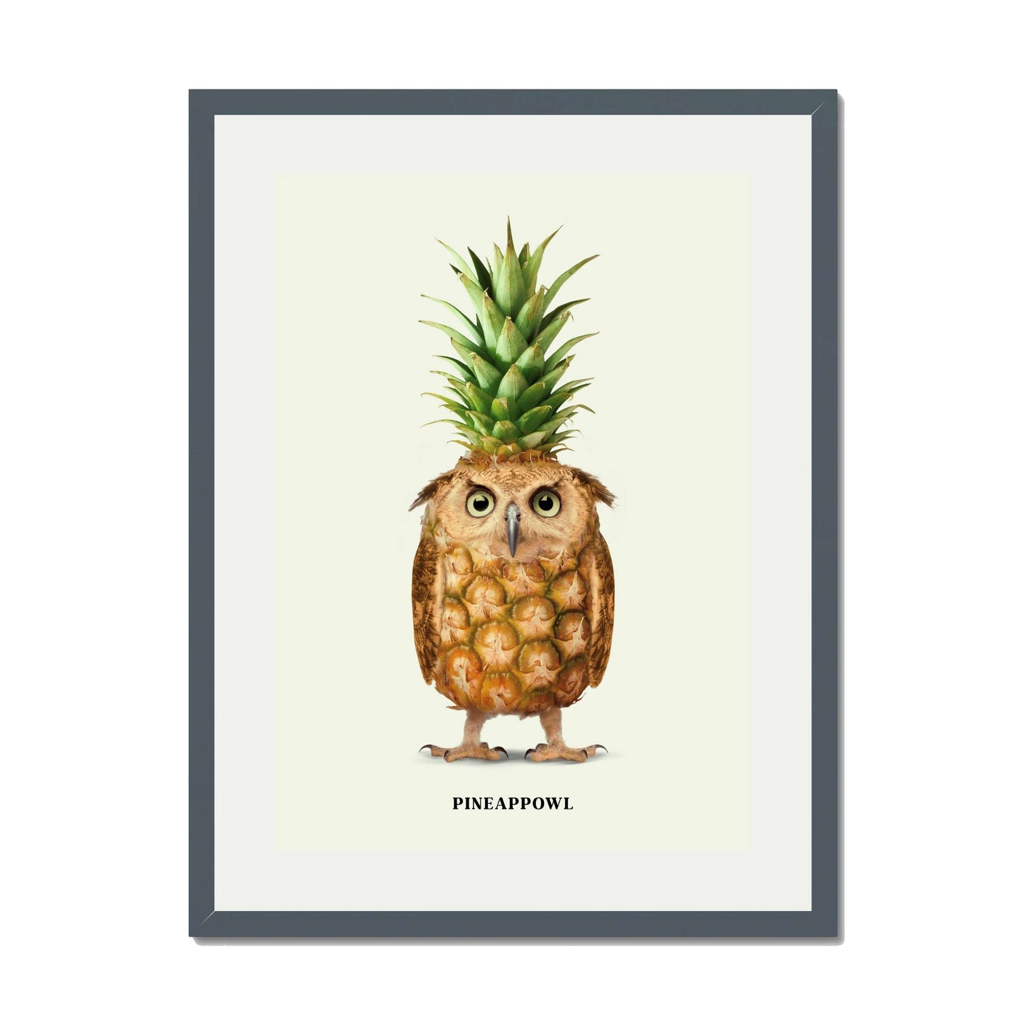 PINEAPPOWL | PRINT