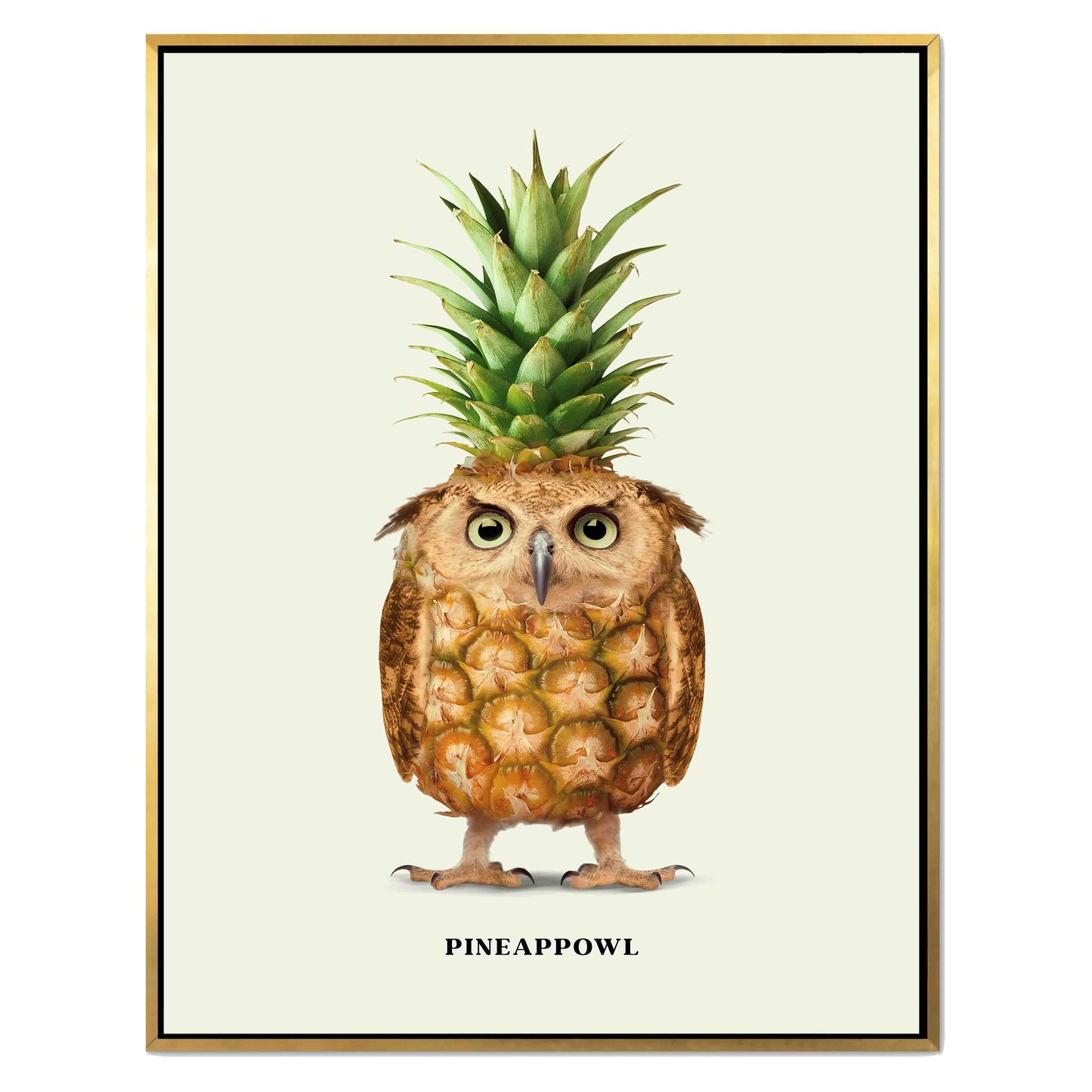 PINEAPPOWL | CANVAS