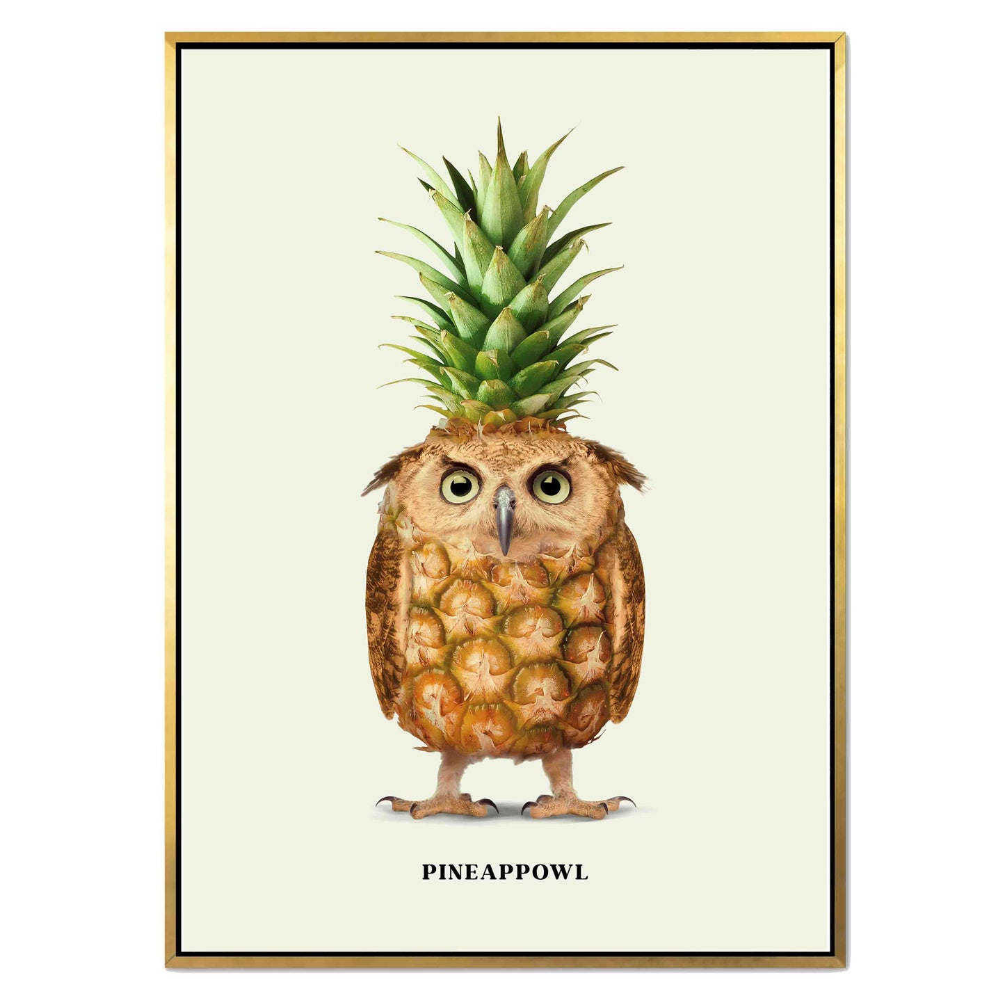 PINEAPPOWL | CANVAS