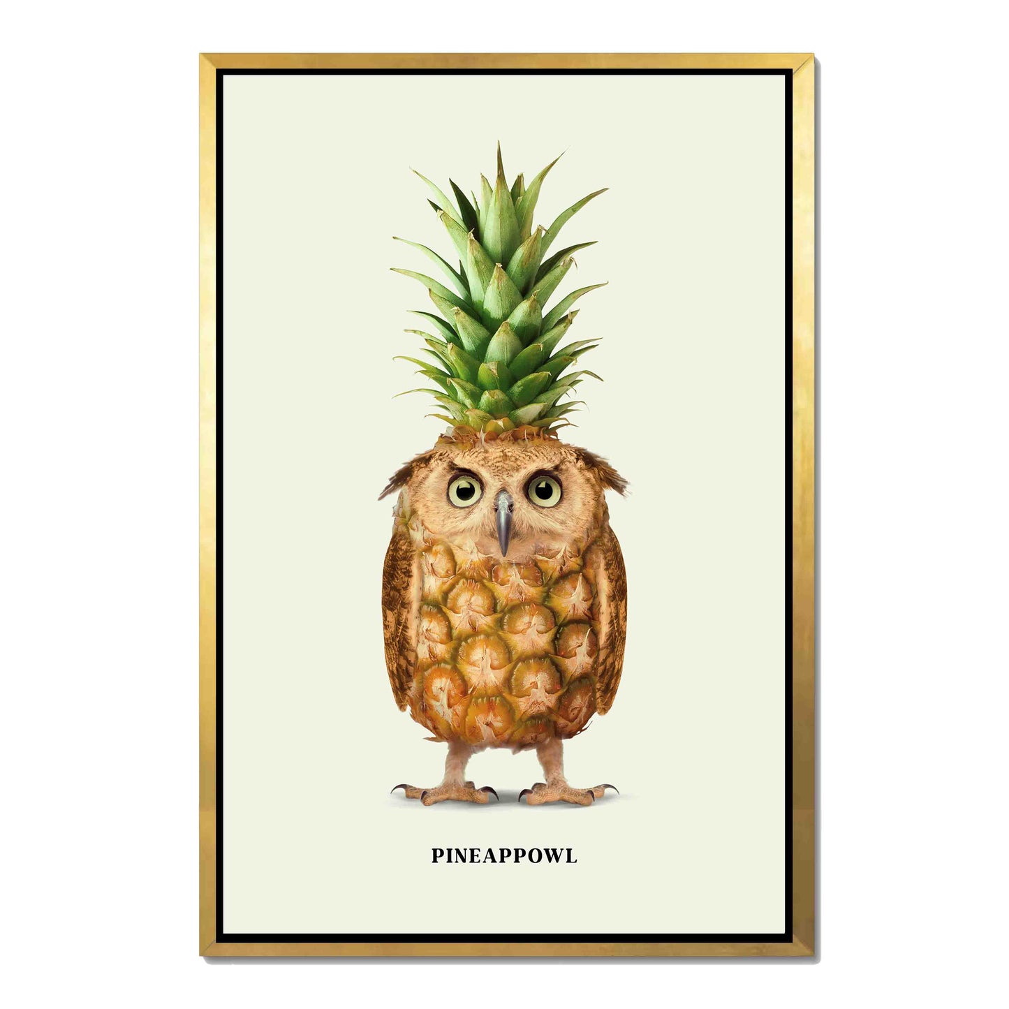 PINEAPPOWL | CANVAS