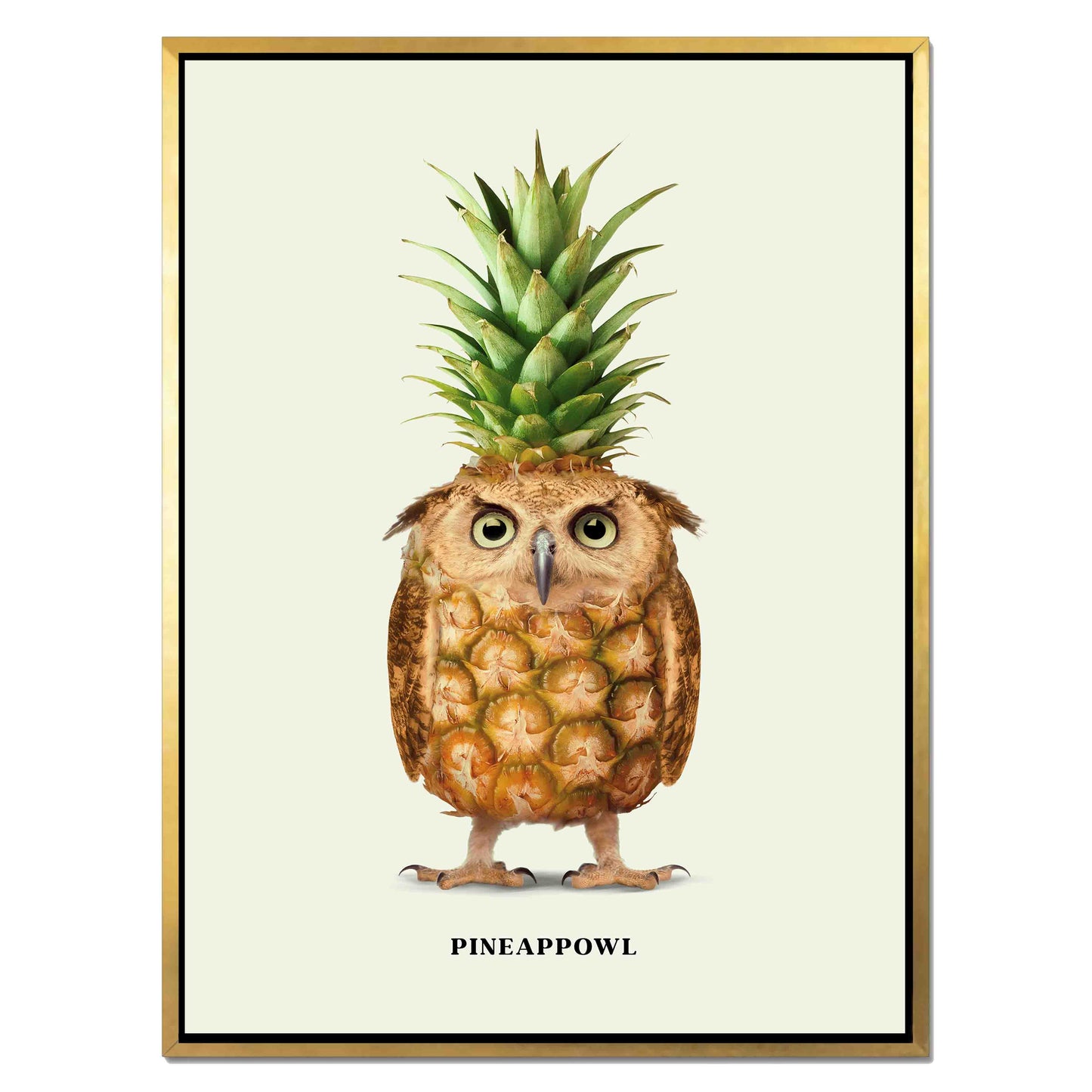 PINEAPPOWL | CANVAS