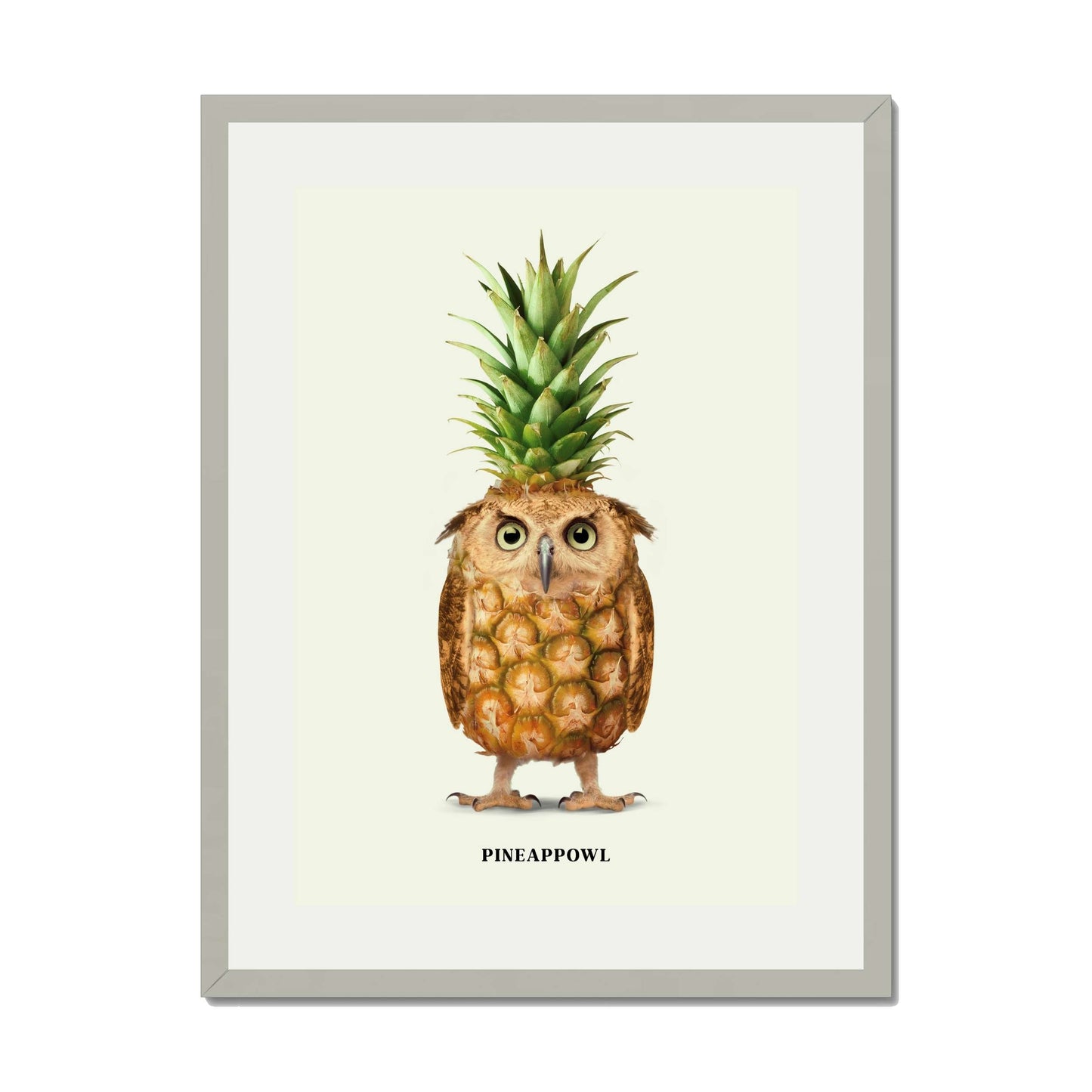 PINEAPPOWL | PRINT