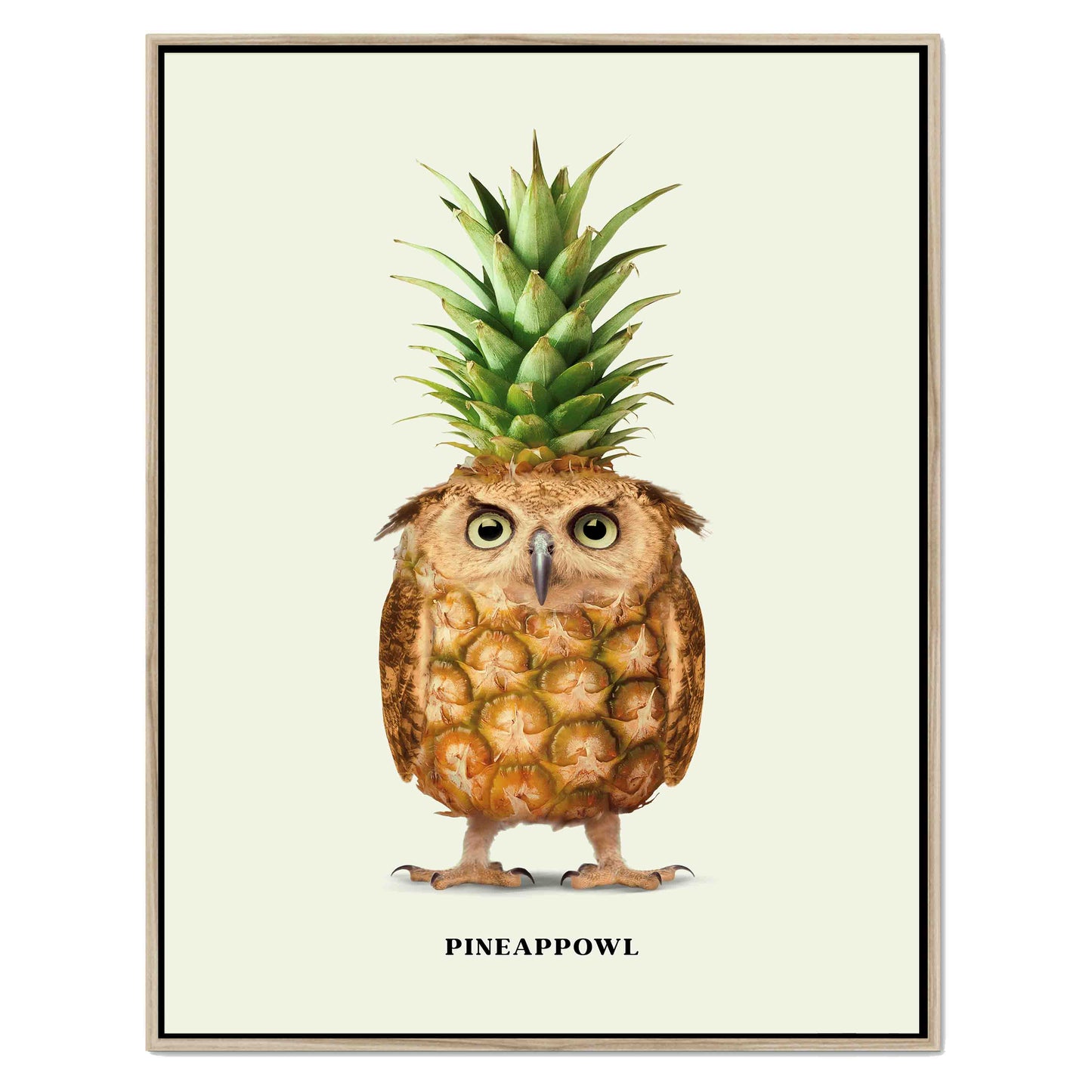 PINEAPPOWL | CANVAS