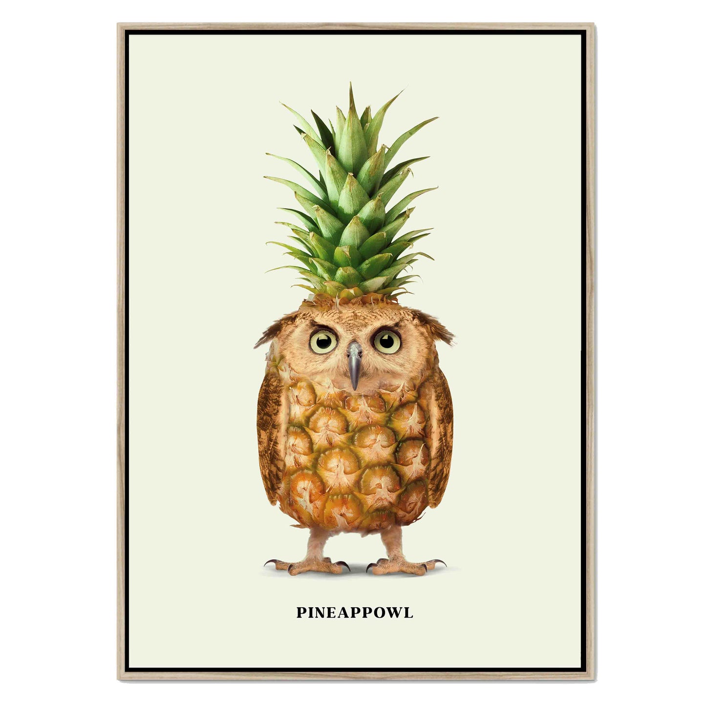PINEAPPOWL | CANVAS