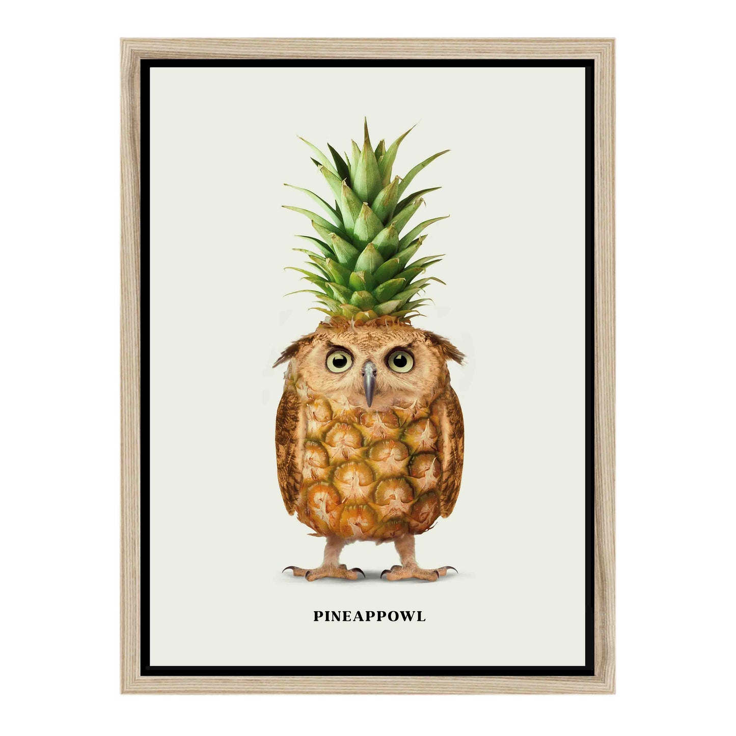 PINEAPPOWL | CANVAS