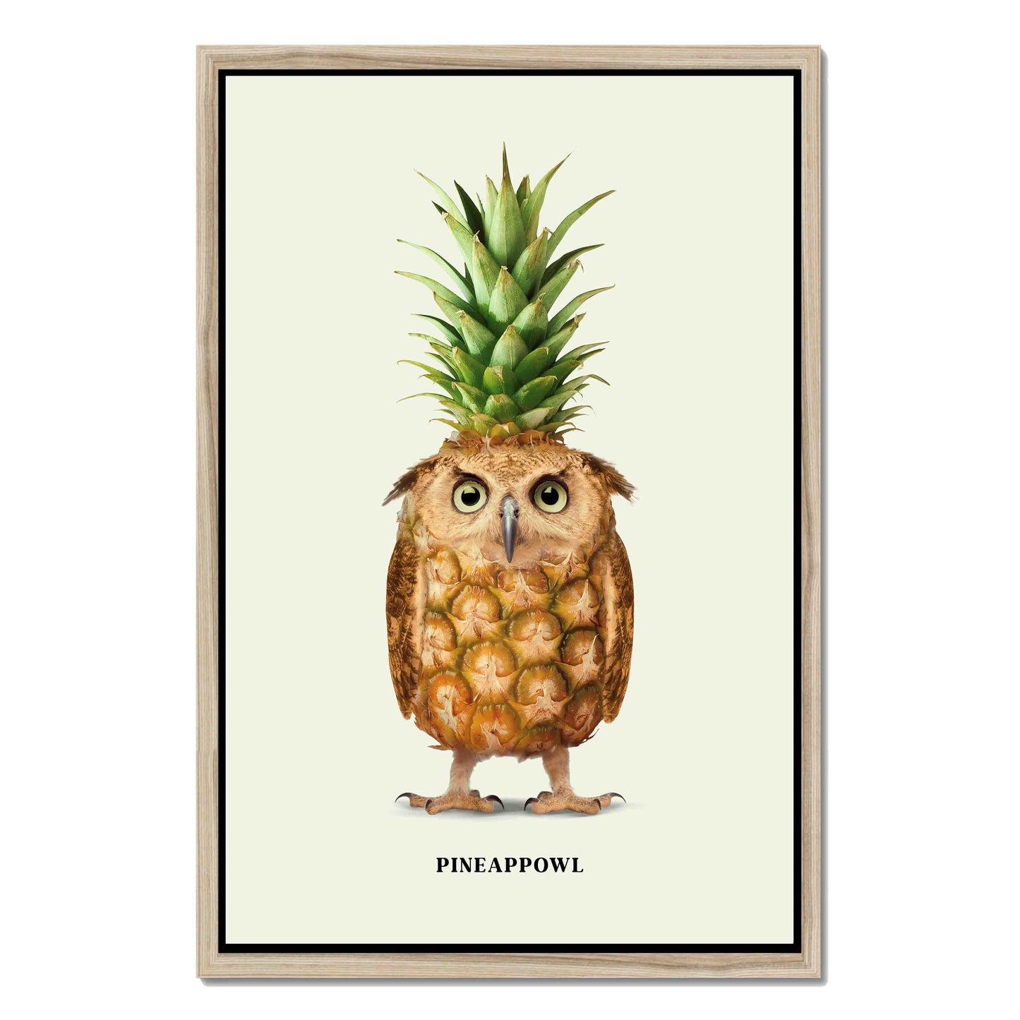 PINEAPPOWL | CANVAS