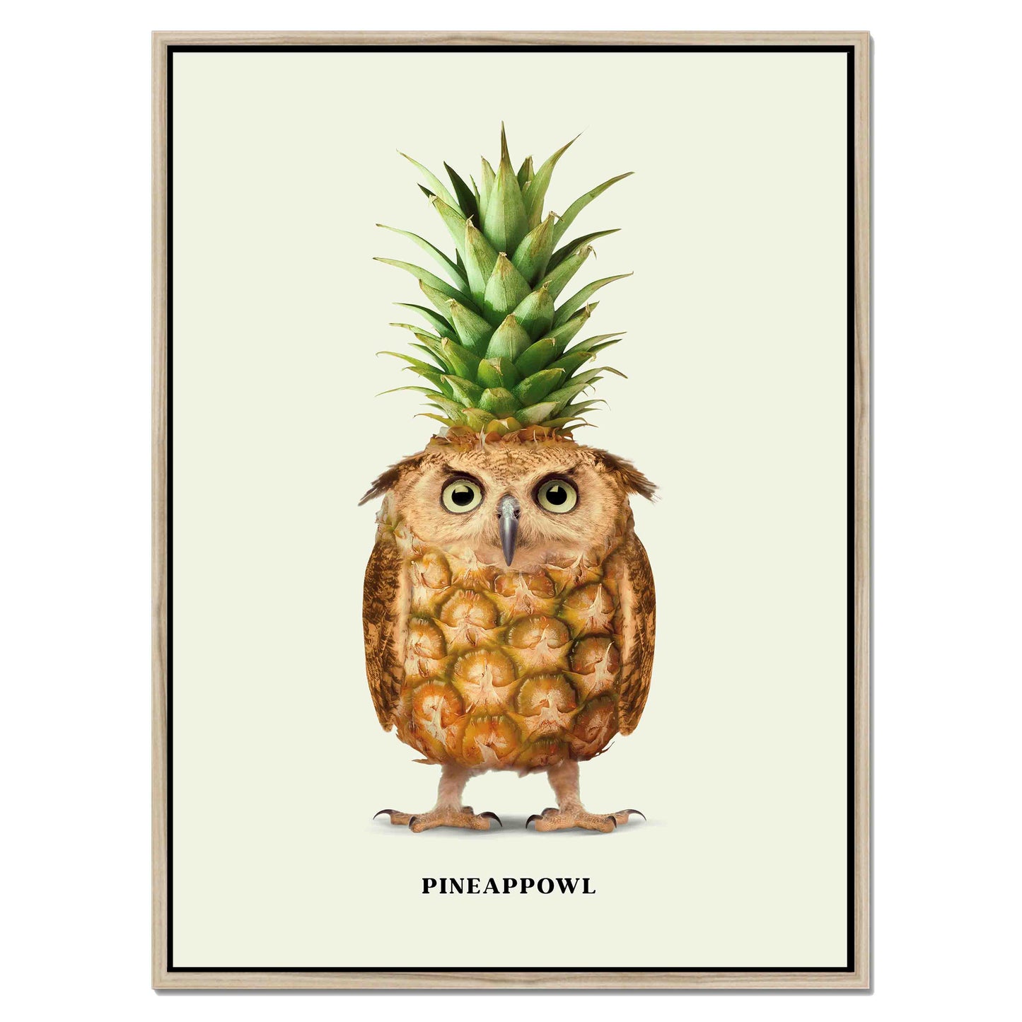 PINEAPPOWL | CANVAS