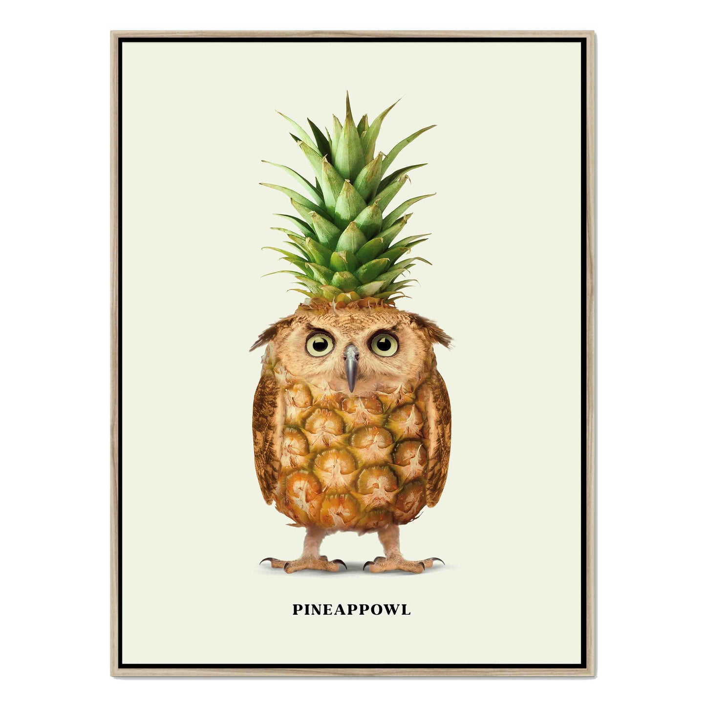 PINEAPPOWL | CANVAS