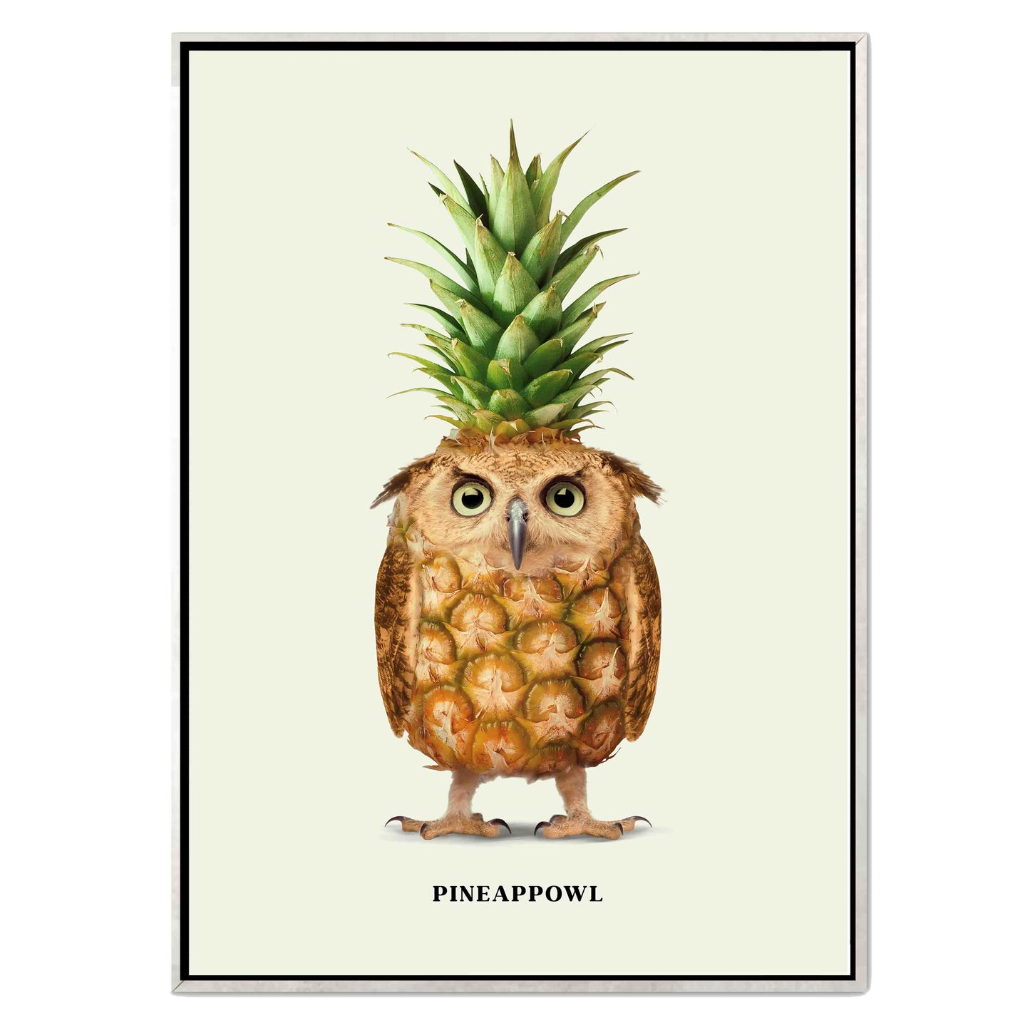 PINEAPPOWL | CANVAS