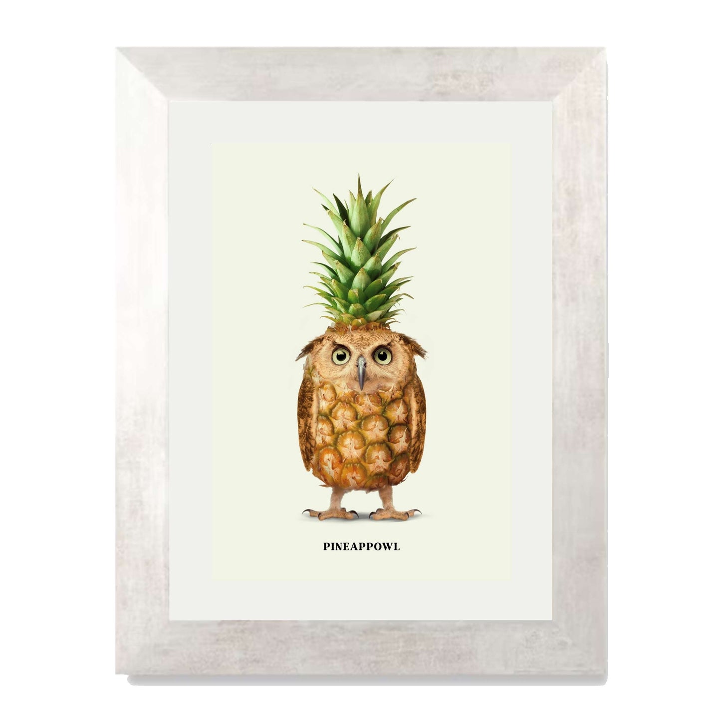 PINEAPPOWL | PRINT
