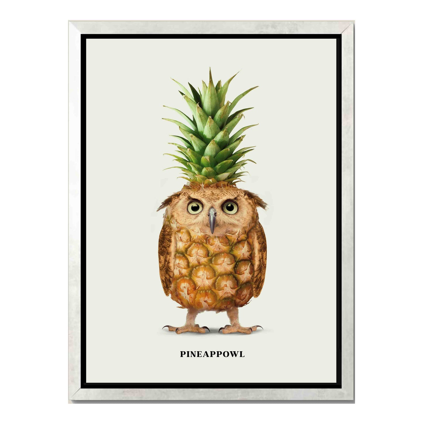 PINEAPPOWL | CANVAS