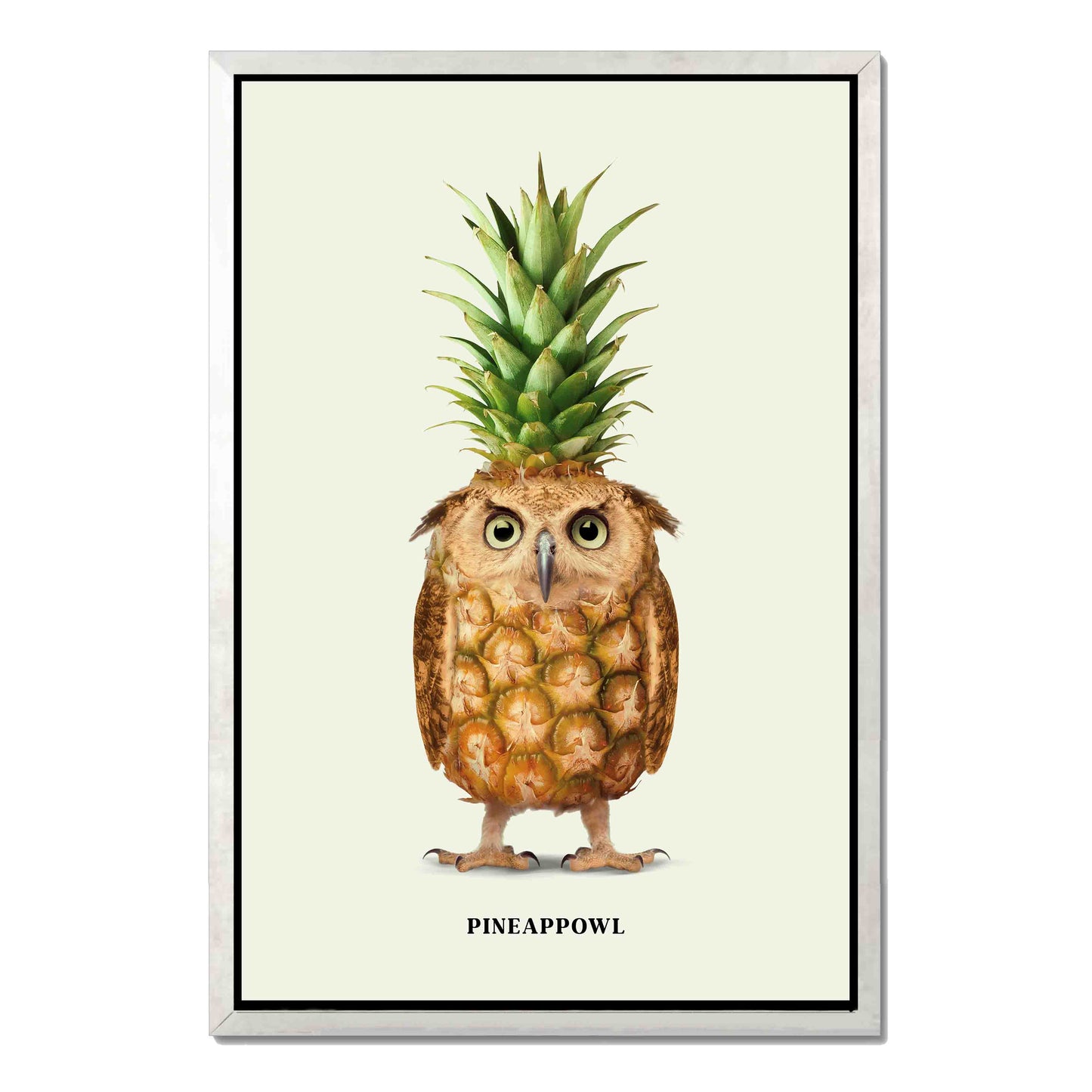 PINEAPPOWL | CANVAS