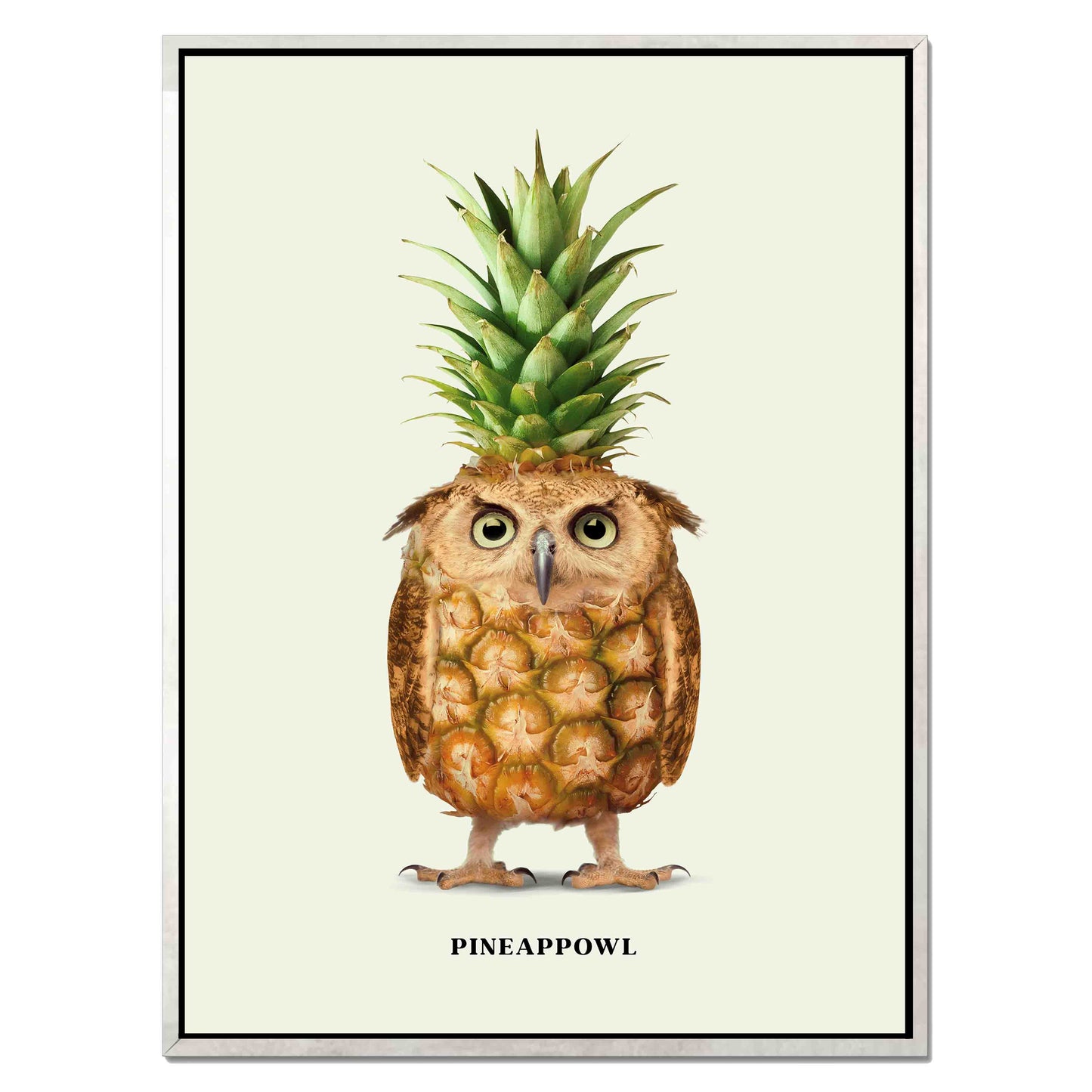 PINEAPPOWL | CANVAS