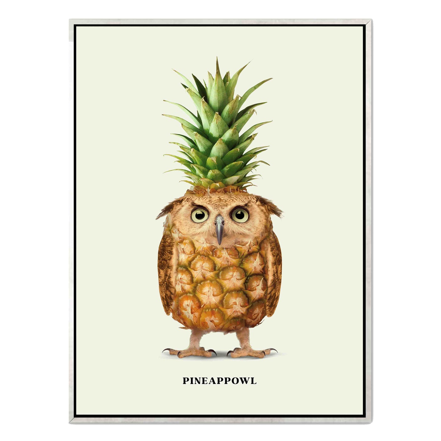 PINEAPPOWL | CANVAS