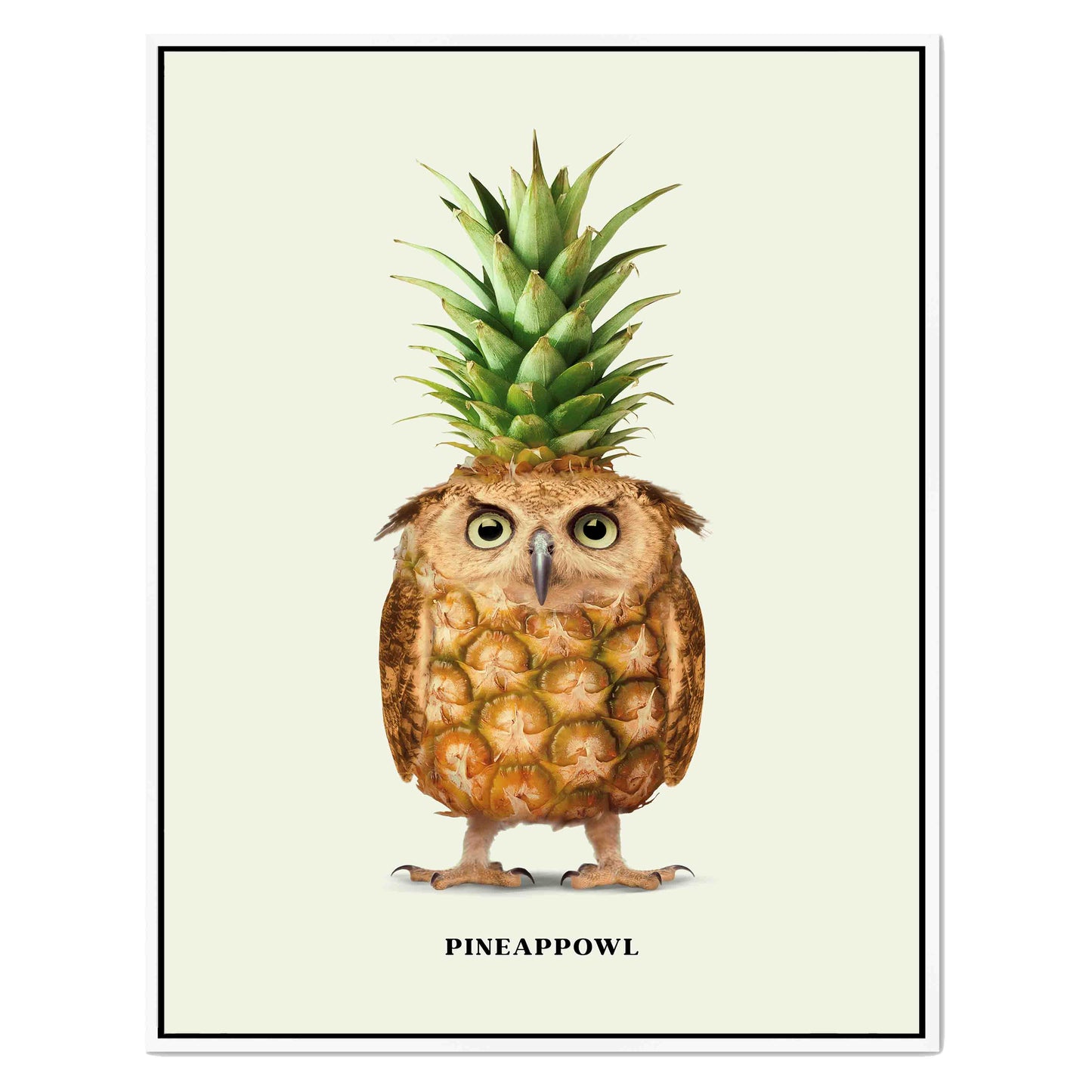 PINEAPPOWL | CANVAS
