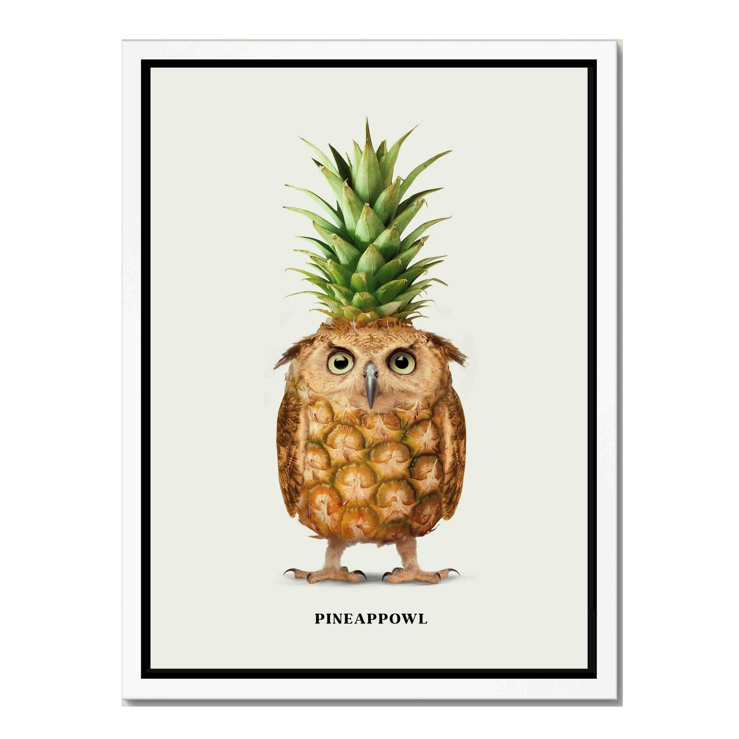 PINEAPPOWL | CANVAS