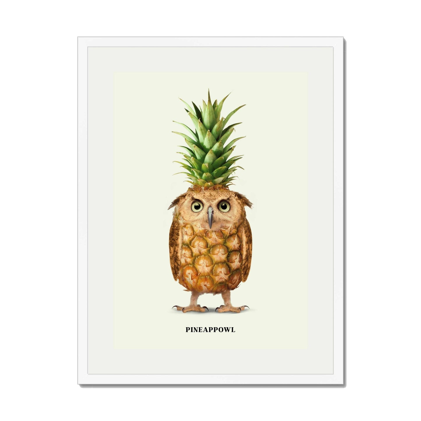 PINEAPPOWL | PRINT