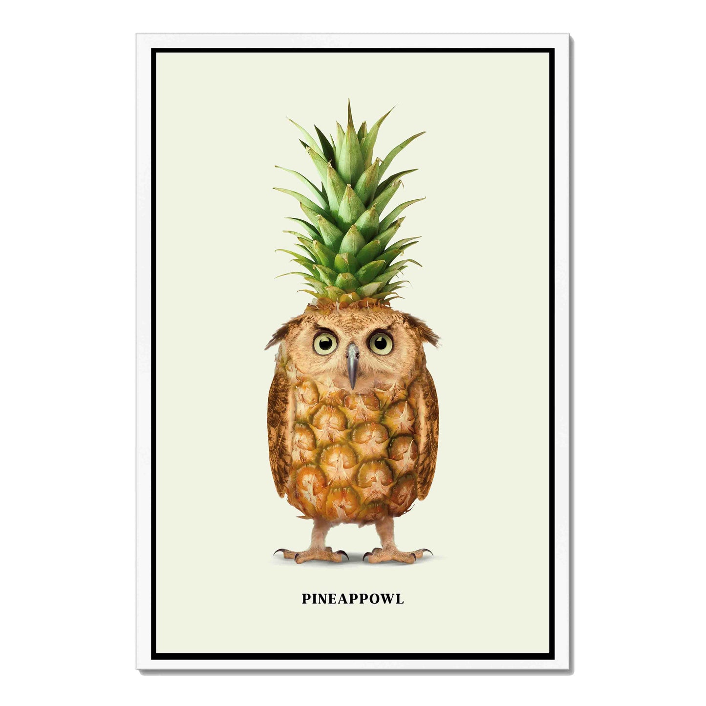 PINEAPPOWL | CANVAS