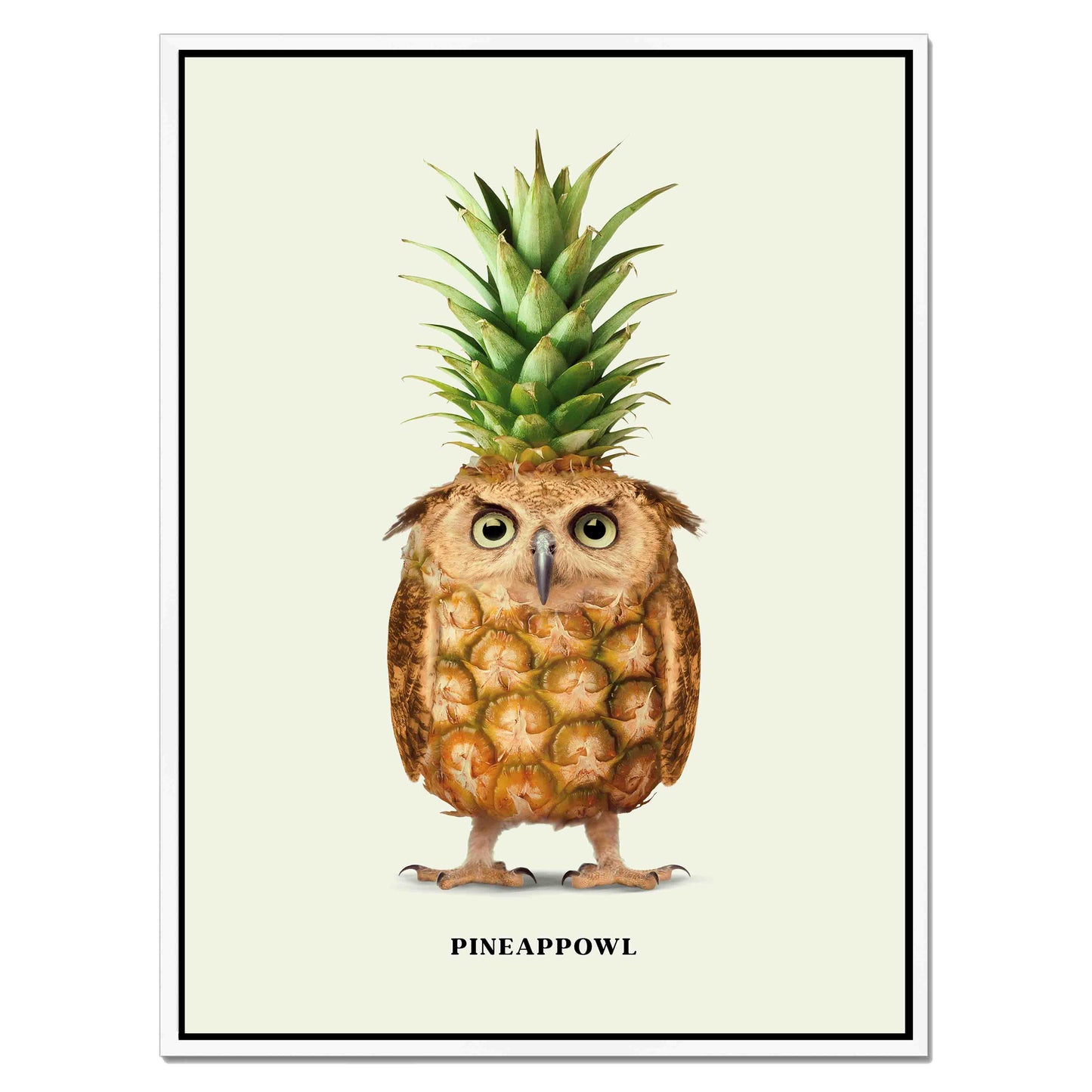 PINEAPPOWL | CANVAS