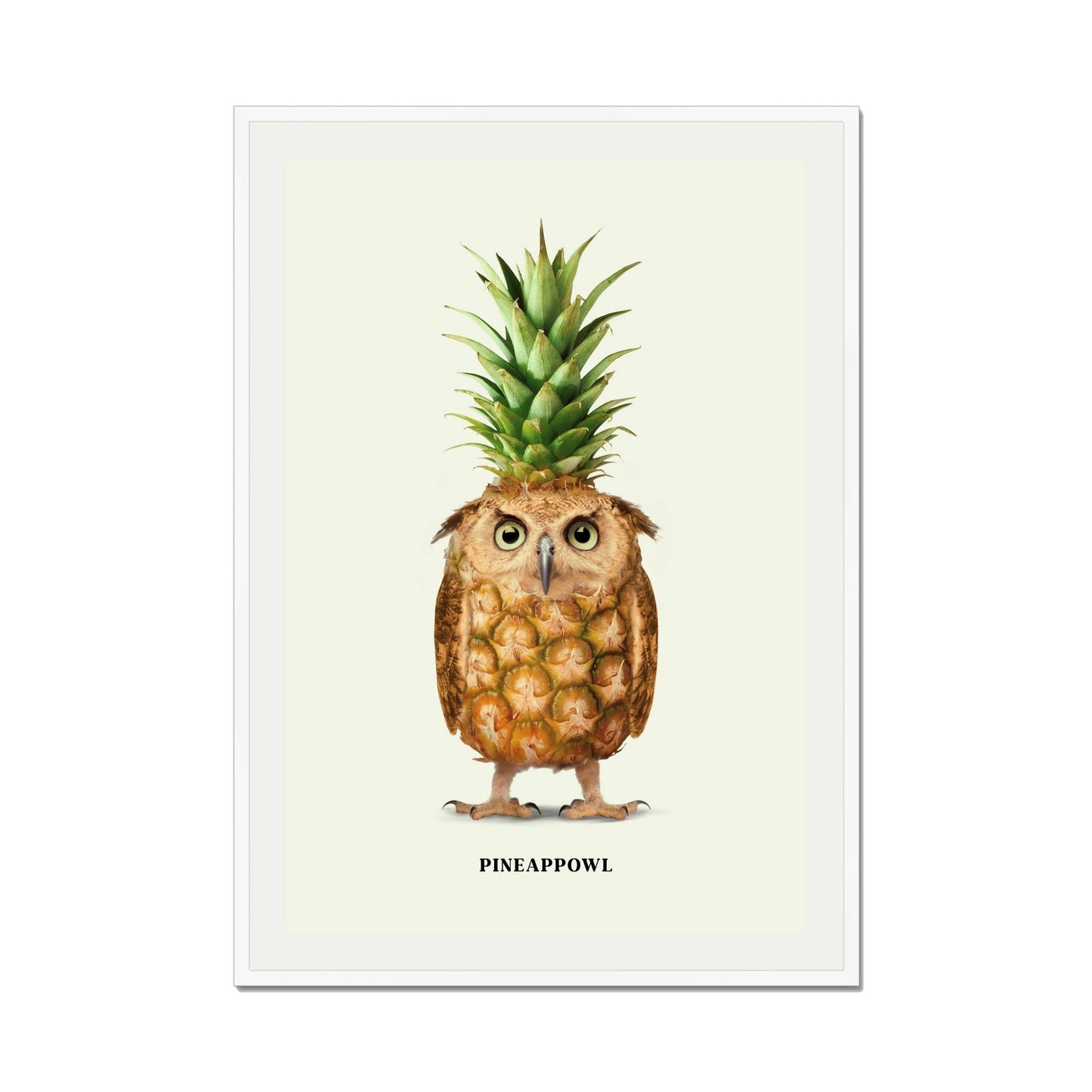 PINEAPPOWL | PRINT
