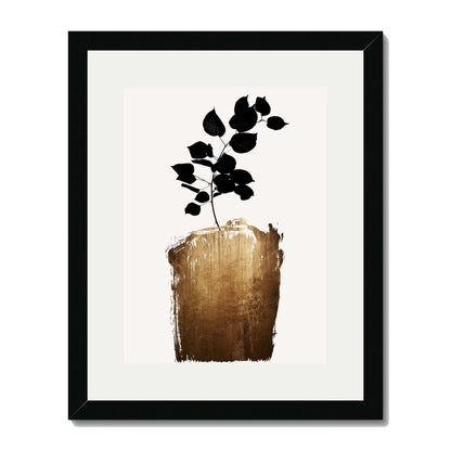 SCABIOSA GOLD | PRINT