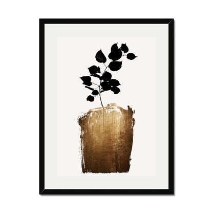 SCABIOSA GOLD | PRINT