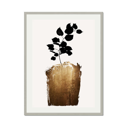 SCABIOSA GOLD | PRINT