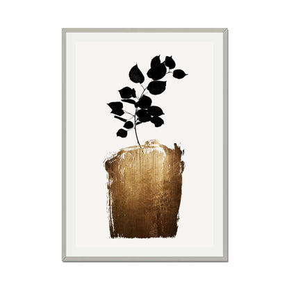 SCABIOSA GOLD | PRINT