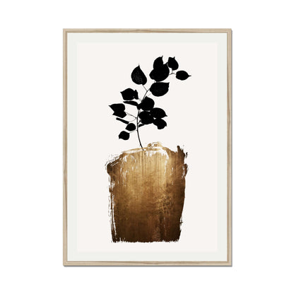 SCABIOSA GOLD | PRINT