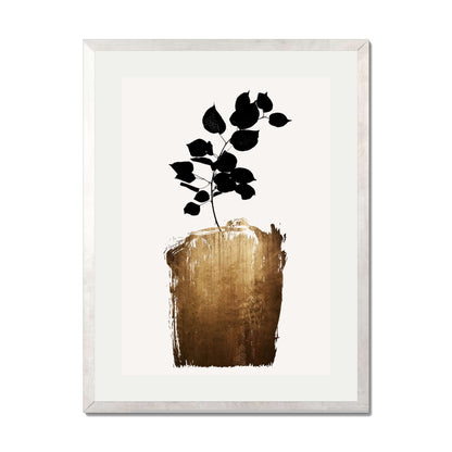 SCABIOSA GOLD | PRINT