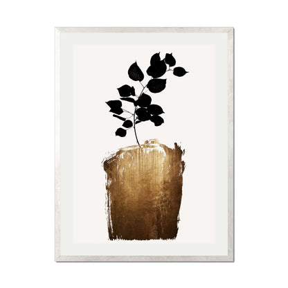 SCABIOSA GOLD | PRINT