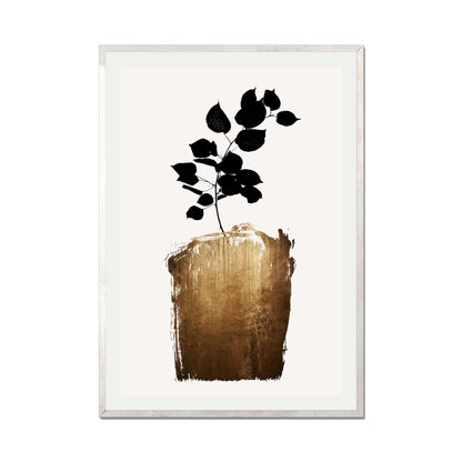 SCABIOSA GOLD | PRINT