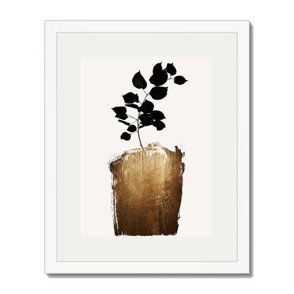 SCABIOSA GOLD | PRINT