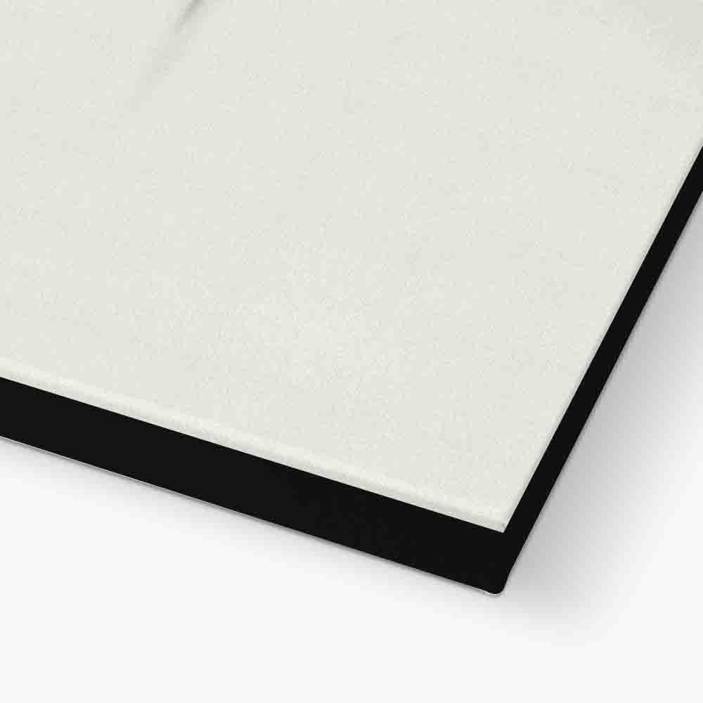 SWARLIC | CANVAS