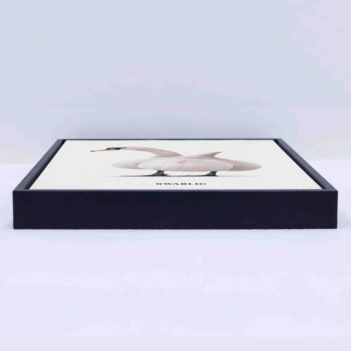 SWARLIC | CANVAS