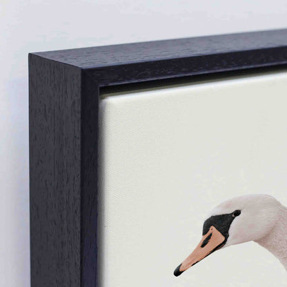 SWARLIC | CANVAS