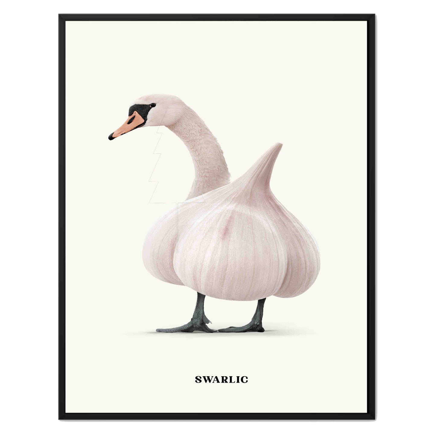 SWARLIC | CANVAS