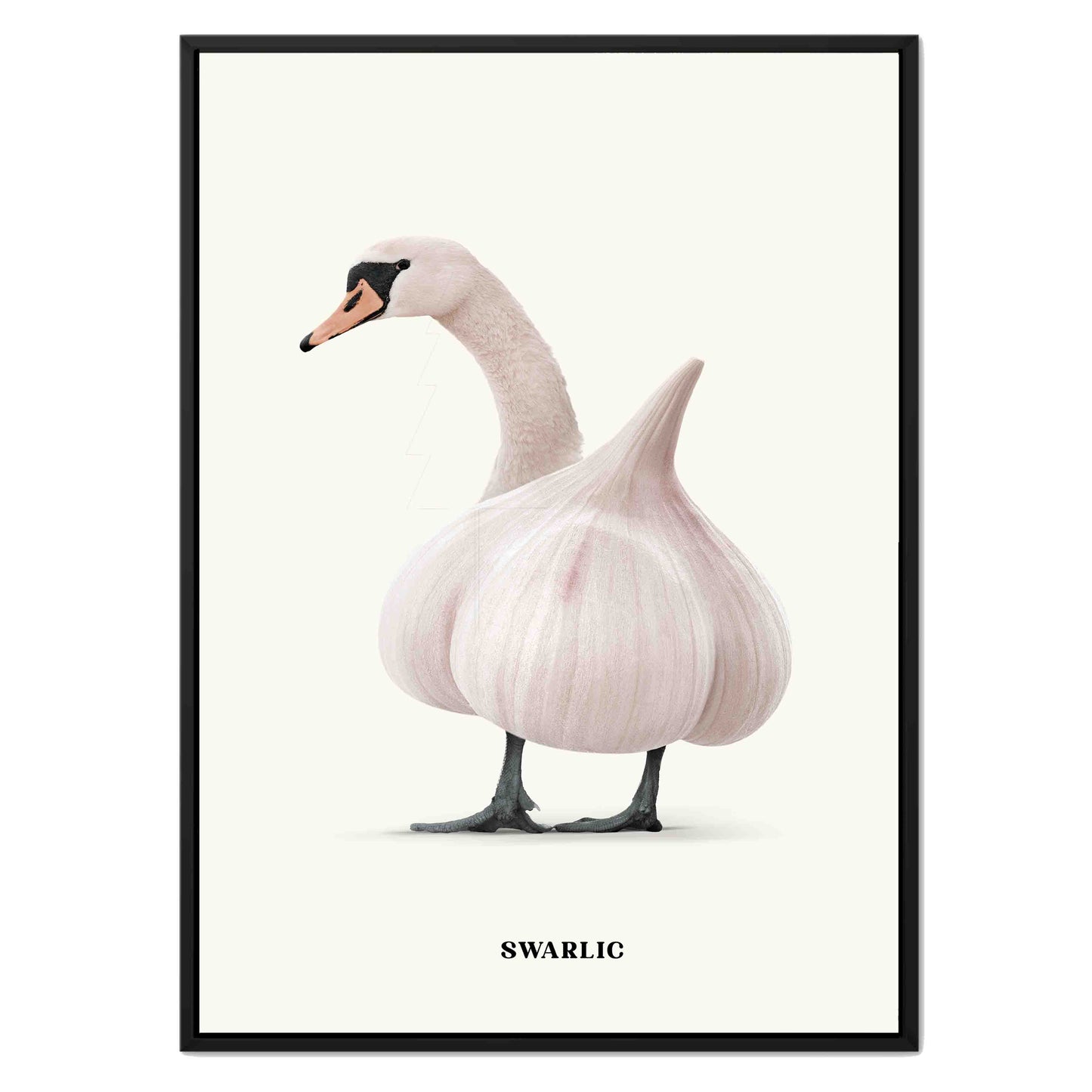 SWARLIC | CANVAS