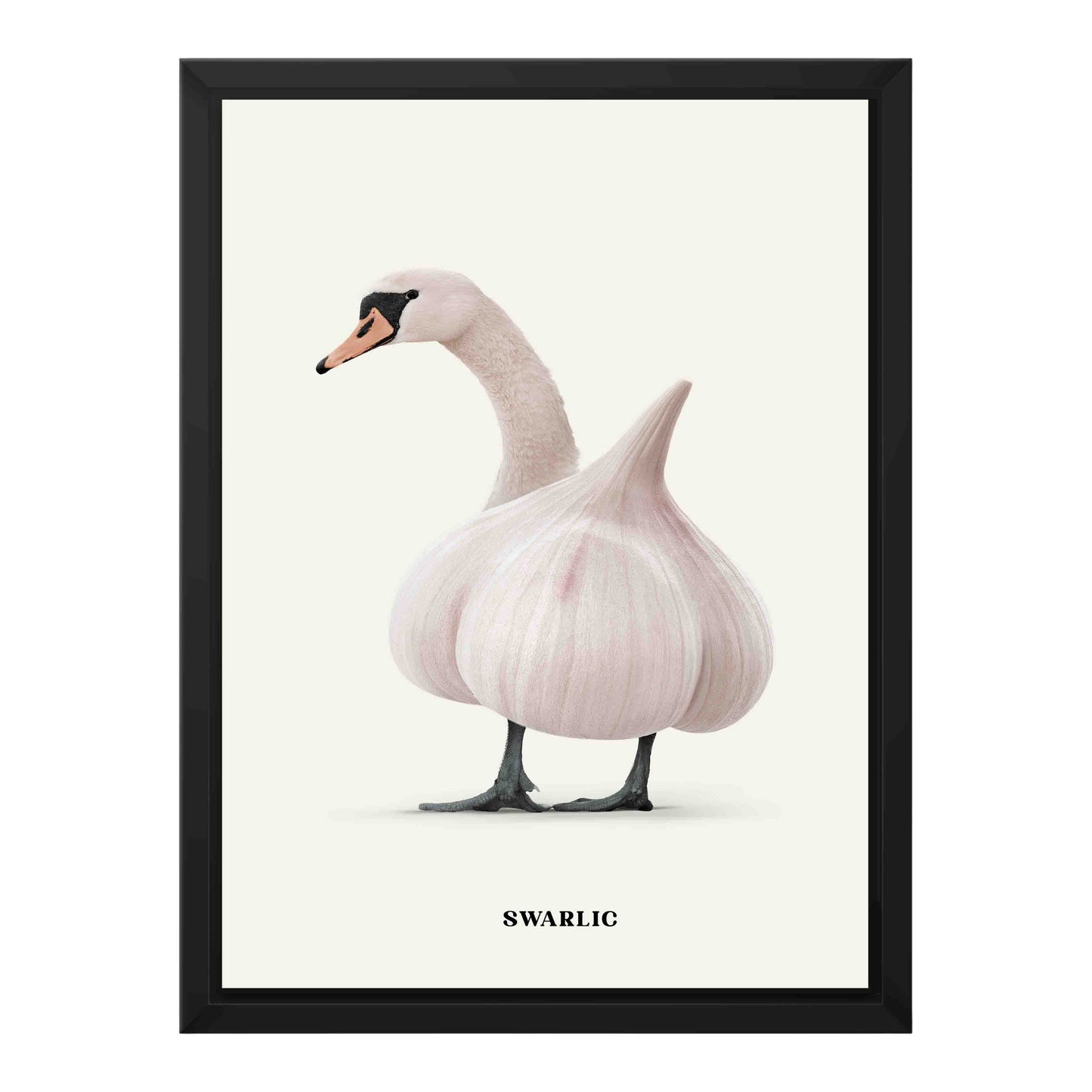 SWARLIC | CANVAS
