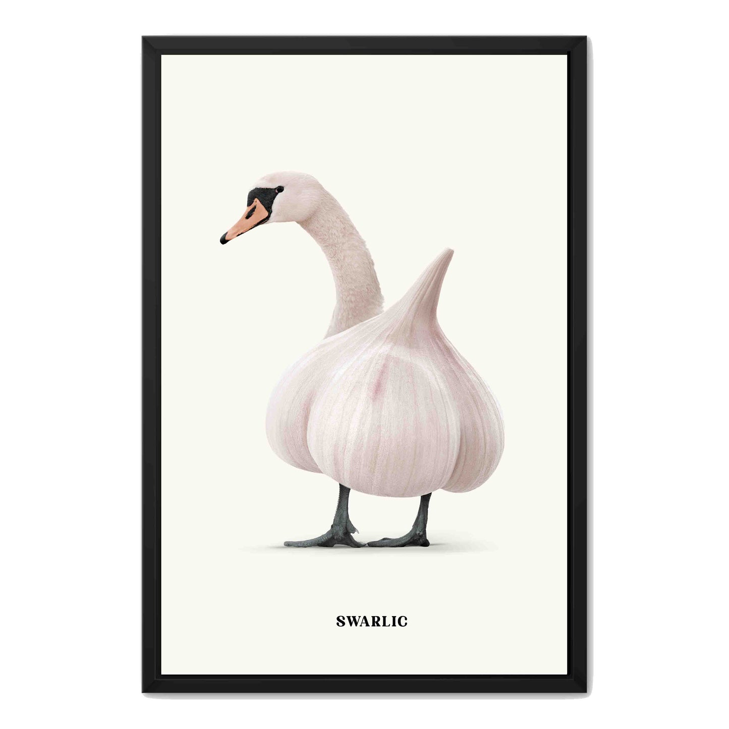 SWARLIC | CANVAS
