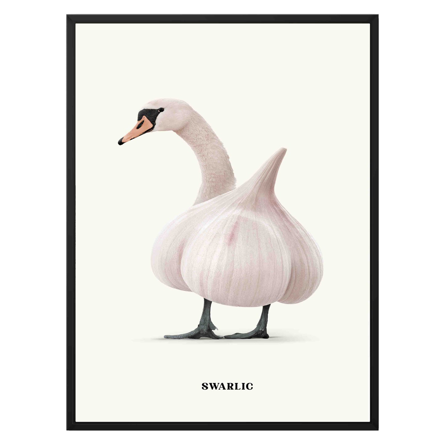 SWARLIC | CANVAS