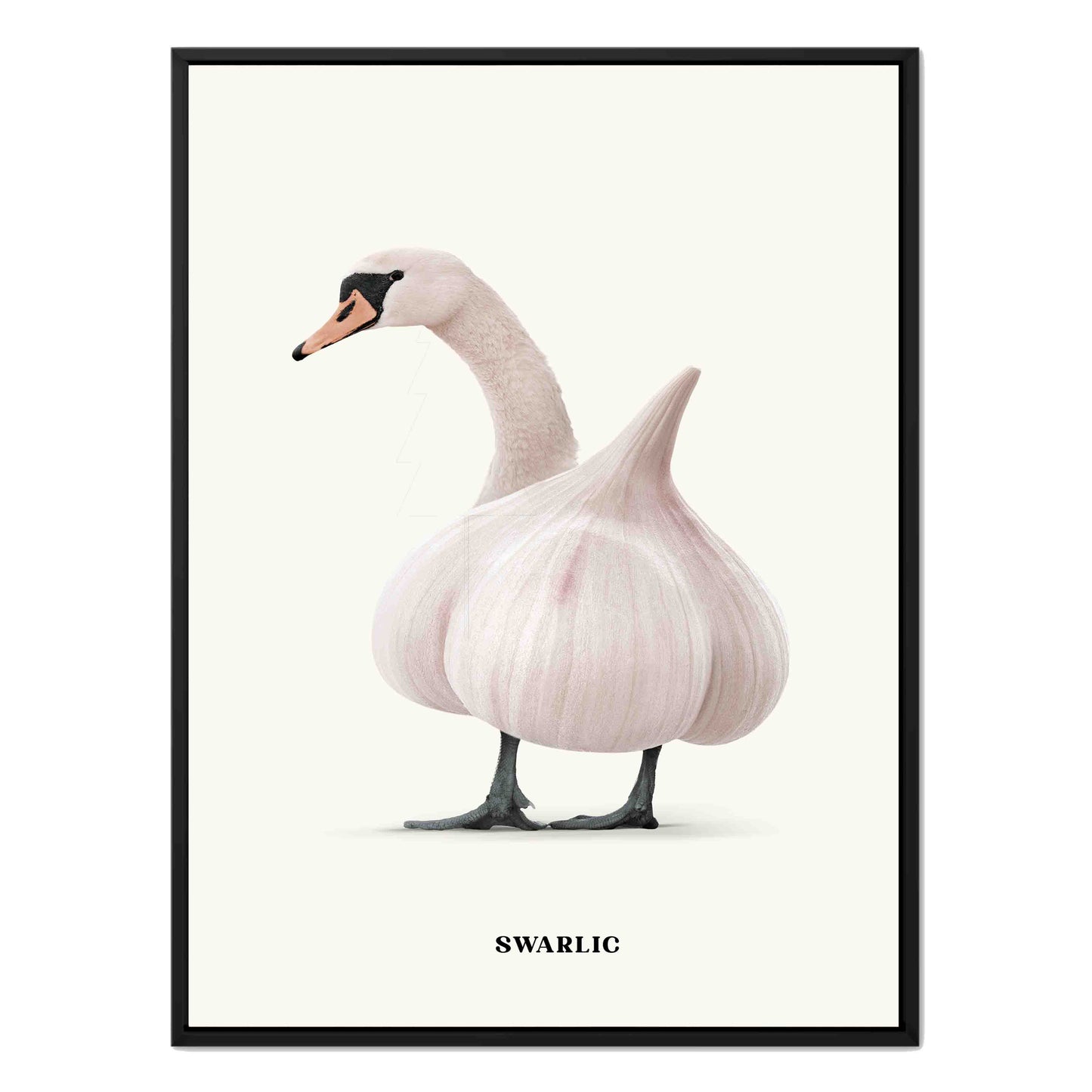 SWARLIC | CANVAS