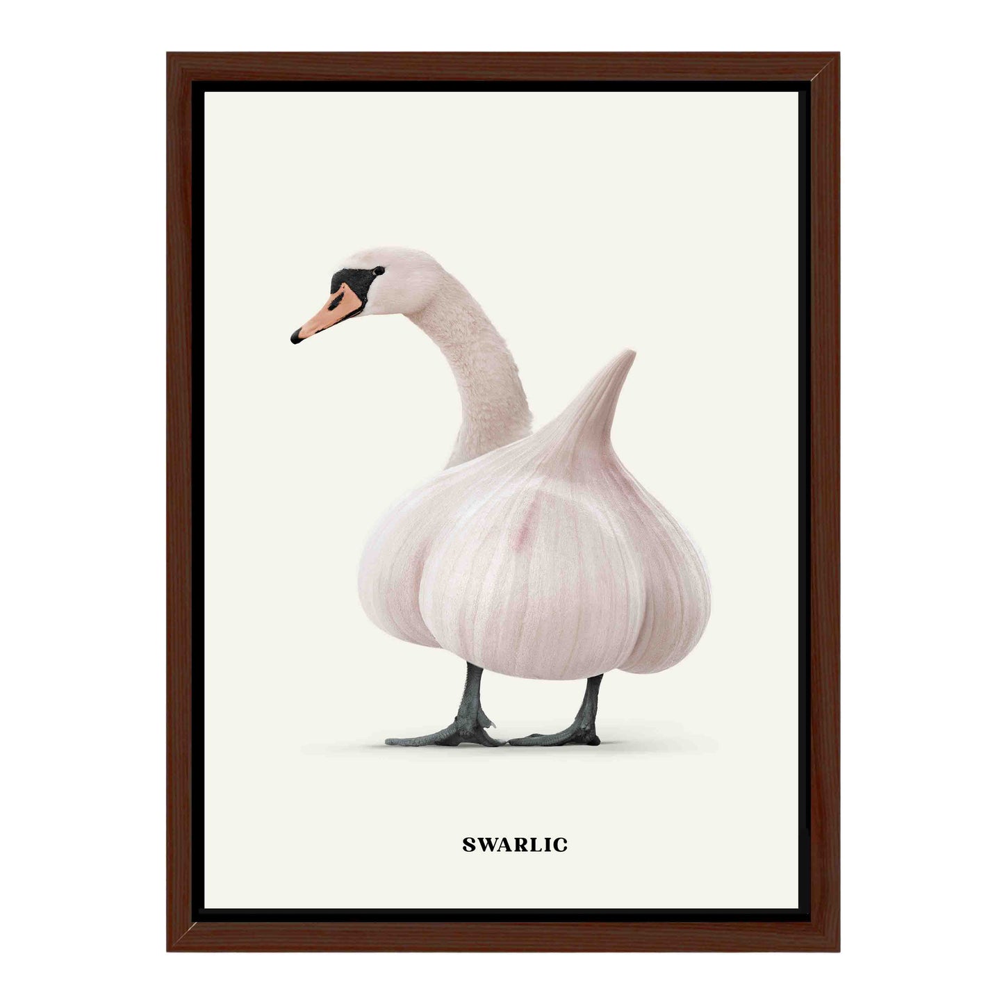 SWARLIC | CANVAS