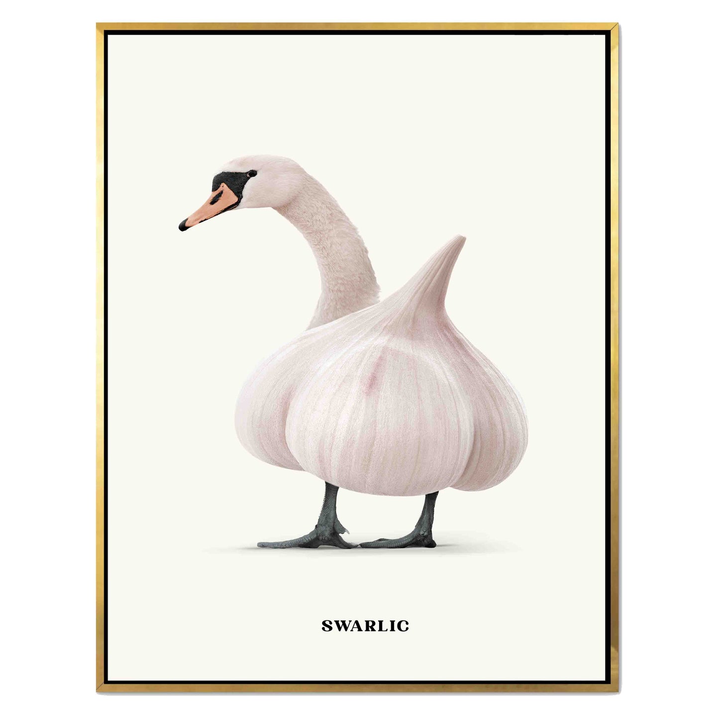 SWARLIC | CANVAS