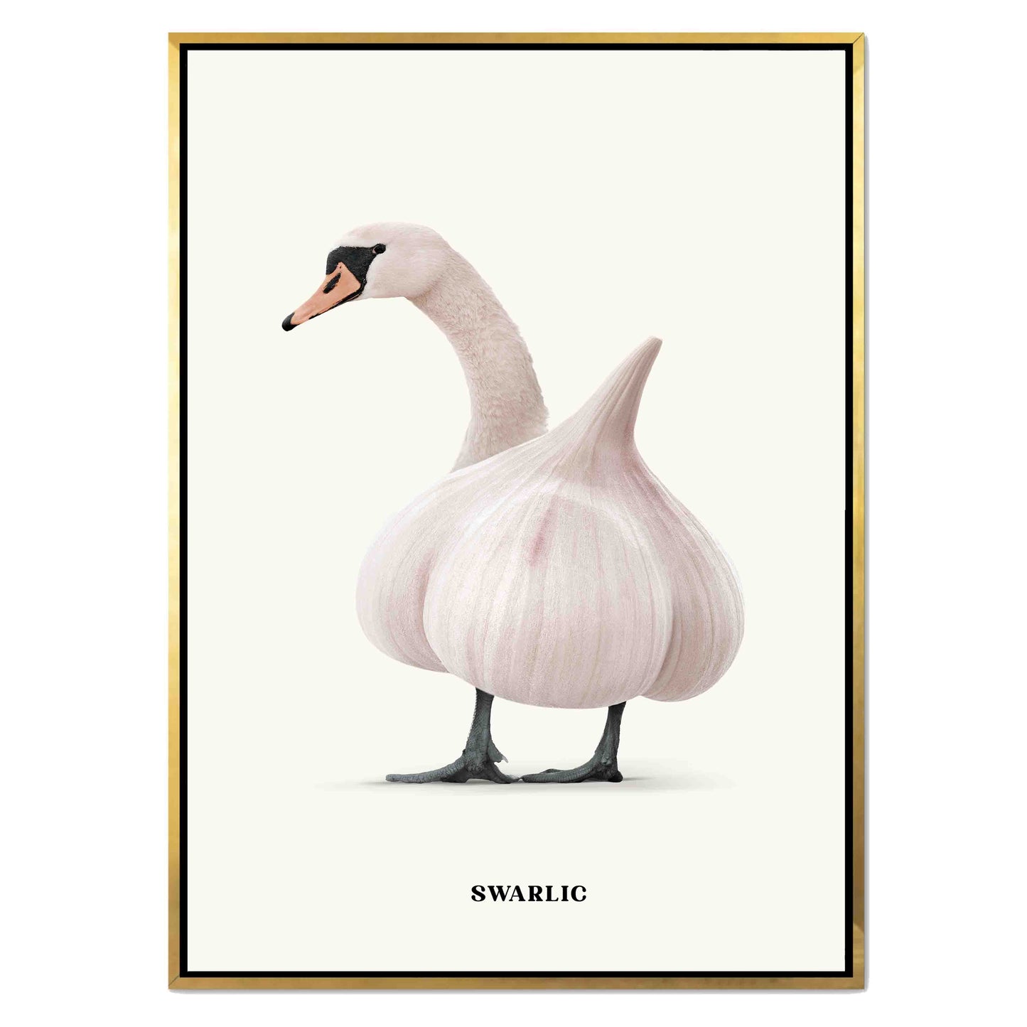 SWARLIC | CANVAS