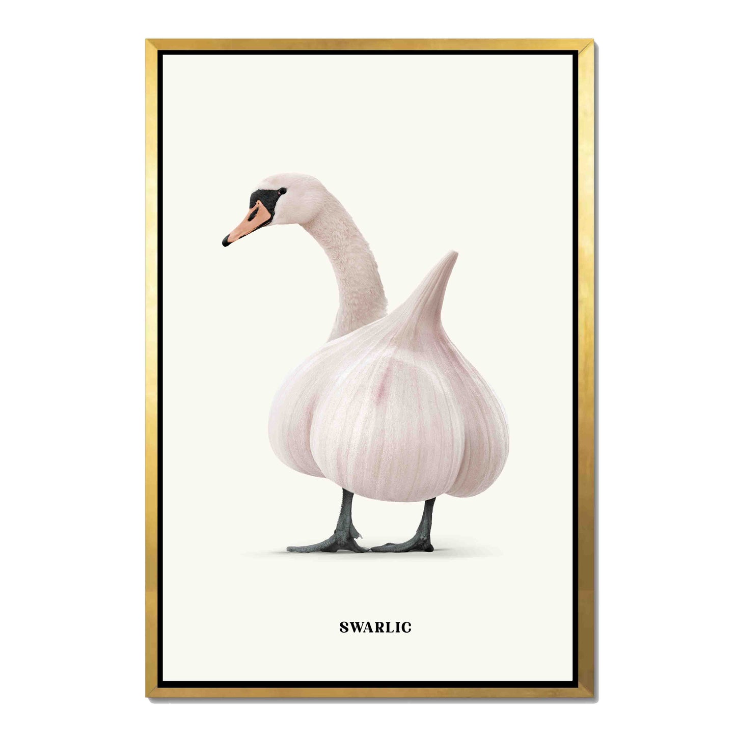 SWARLIC | CANVAS