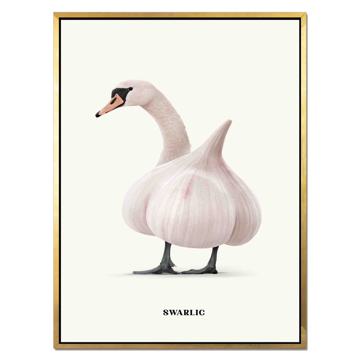 SWARLIC | CANVAS